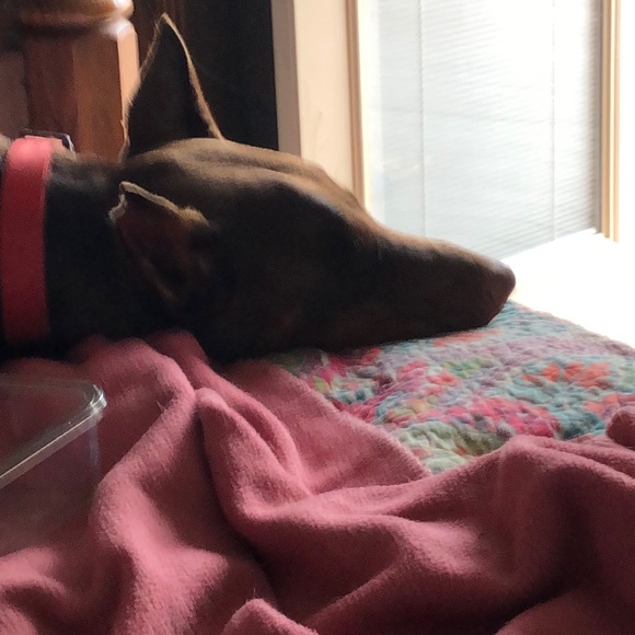 Meet your Posher, Donya - Picture 1 of 1